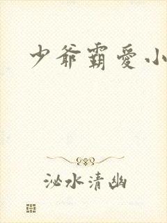 少爷霸爱小丫头