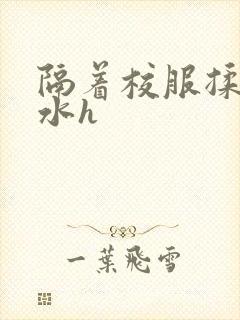 隔着校服揉h奶水h