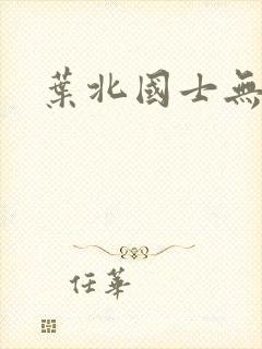 叶北国士无双