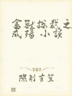 禽兽总裁之虐爱成殇 小说