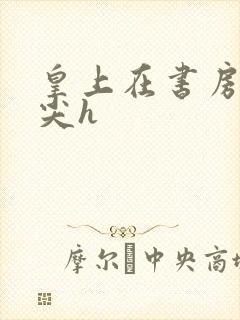 皇上在书房含乳尖h