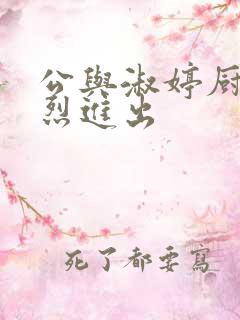 公与淑婷厨房猛烈进出