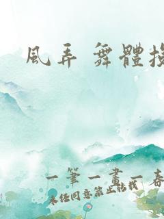 风弄 舞体投递