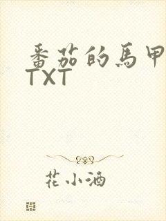 番茄的马甲小说TXT