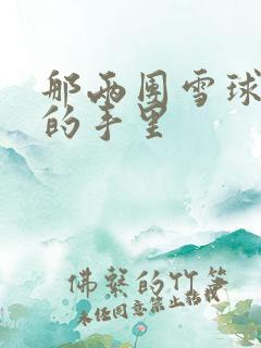 那两团雪球在他的手里