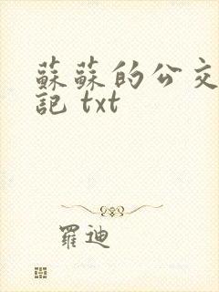 苏苏的公交车日记 txt