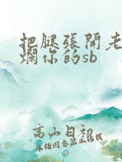 把腿张开老子臊烂你的sb