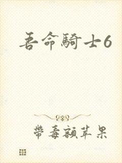 吾命骑士6