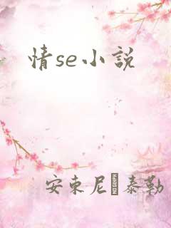 情se小说