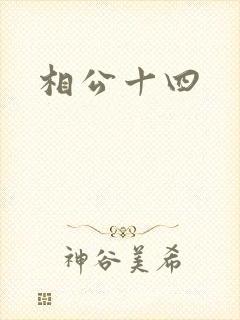 相公十四