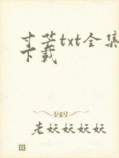 寸芒txt全集下载