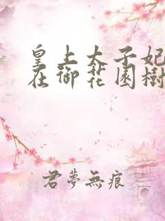 皇上太子妃沈音在御花园树上