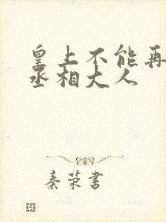 皇上不能再进了丞相大人