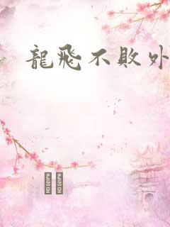 龙飞不败外传