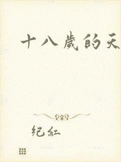 十八岁的天空续