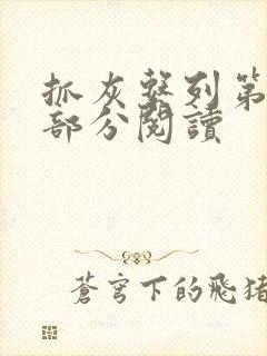 抓灰系列第33部分阅读