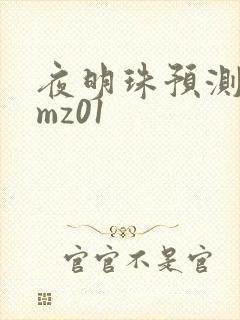 夜明珠预测 ymz01