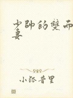 少帅的双面小娇妻