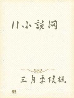 11小说网