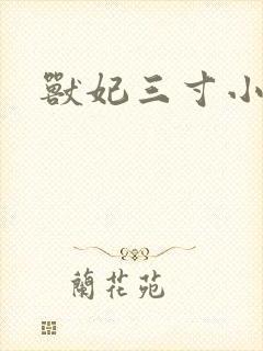 兽妃三寸小狂妻