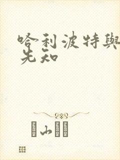 哈利波特与冒牌先知