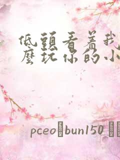 低头看着我是怎么玩你的小说