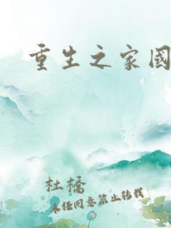 重生之家国天下
