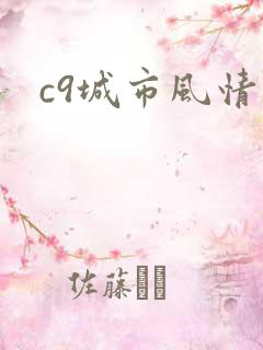 c9城市风情