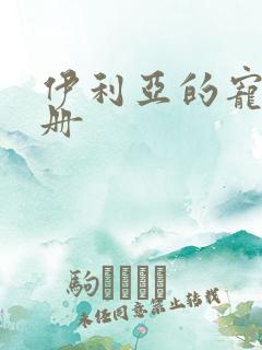 伊利亚的宠物手册