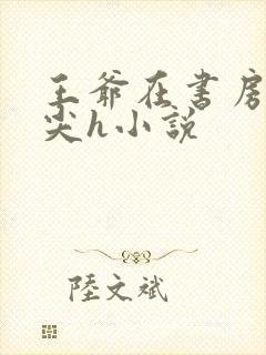 王爷在书房含乳尖h小说