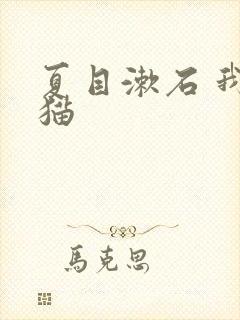 夏目漱石 我是猫