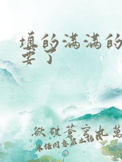 填的满满的 不要了