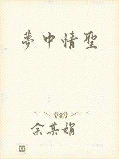 梦中情圣