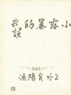 我的暴露小说小说