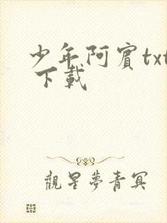 少年阿宾txt 下载