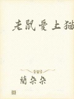 老鼠爱上猫下载