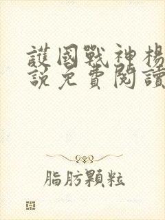 护国战神杨风小说免费阅读