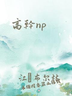 高干np