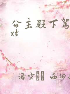 公主殿下驾到txt