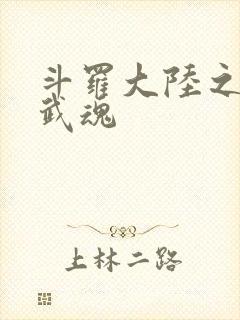 斗罗大陆之三生武魂