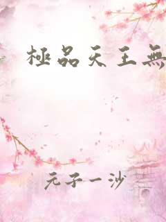 极品天王无弹窗