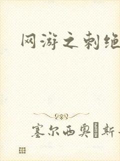 网游之刺绝天下