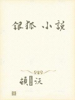 银狐 小说