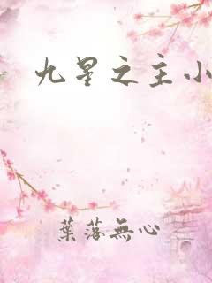 九星之主小说