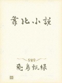 靠比小说