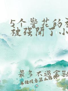 5个警花的初苞被强开了小说