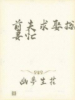 前夫求娶总裁追妻忙