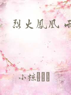 烈火凤凰 雨兰