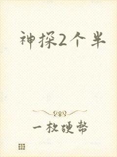 神探2个半