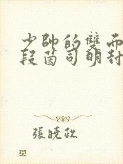 少帅的双面宠妻段茵司明封免费